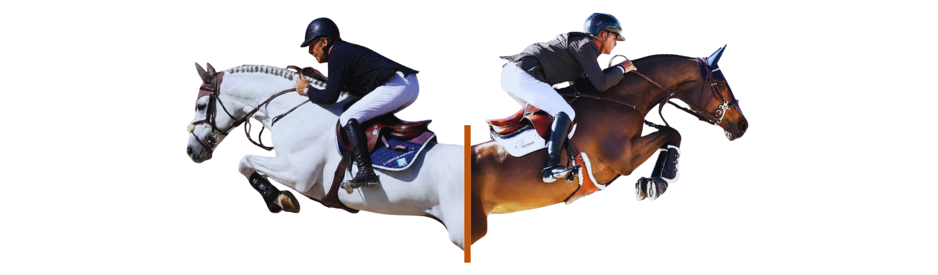 Deux cavaliers de saut d'obstacles en pleine action